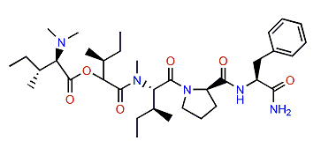 Dolastatin C